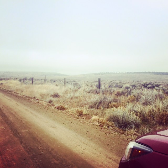 CDD3C7A2-6CB4-4D1A-8830-939127BAB73B